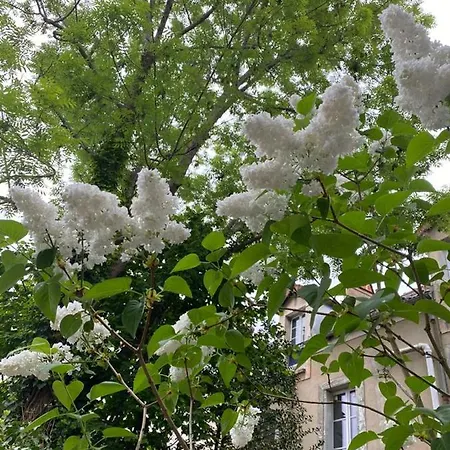 Sweet Garden Apartment Fontainebleau