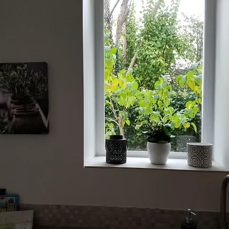 Sweet Garden Apartment Fontainebleau